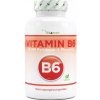 Vitamín a minerál Vit4ever Vitamin B6 25 mg 240 tablet