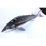 Gaby polštář ryba Jeseter giant 120 cm – Zboží Dáma