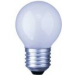 TES-LAMP žárovka E27 25W iluminační matná – Hledejceny.cz