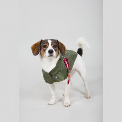Dog Jacket MA-1 sage – Zboží Mobilmania