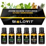 Bilovit vonný olej Umění saunování 6 x 10 ml – Hledejceny.cz