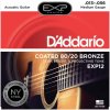 Struna D'ADDARIO EXP12 80/20 Acoustic Bronze Super Medium - .013 - .056