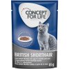 Kapsička pro kočky Concept for Life Adult British Shorthair kvalita ragú 12 x 85 g