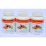 MycoMedica Reishi Triterpen 3 x 90 kapslí – Hledejceny.cz