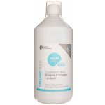 Invex Remedies tekutý křemík s borem 1000 ml – Hledejceny.cz