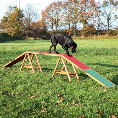 Dog Activity Agility překážka pro psy kladina 456 x 64 x 30 cm – Zboží Mobilmania