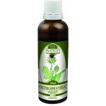 Naděje T30 Ostropestřec 50 ml – Hledejceny.cz