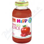 HiPP 100% Jablečno-malinová šťáva BIO 4/6m 200 ml – Zboží Dáma