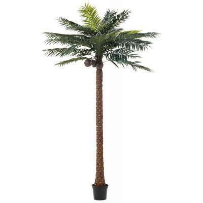 Okrasná palma v květináči Palm Ø190*350cm J-Line by Jolipa – Hledejceny.cz