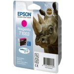 Epson C13T100340 - originální – Zboží Živě