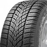 Dunlop SP Winter Sport 4D 255/40 R18 99V – Hledejceny.cz