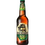 Radegast ROG IPA výčepní special 4,6% 0,5 l (sklo) – Sleviste.cz