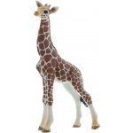 Schleich 14751 Žirafí mládě – Hledejceny.cz