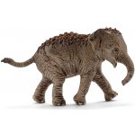 Schleich 14755 Asijské slůně – Zboží Mobilmania