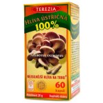 Terezia Company Hlíva Ústřičná 60 kapslí – Hledejceny.cz