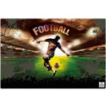 Karton P+P Fotbal 60 x 40 cm 3-81520 – Zboží Dáma