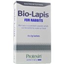 Protexin Bio Lapis plv 6 x 2 g