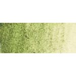 Caran d´Ache akvarelový voskový pastel Neocolor II 225 moss green – Zboží Mobilmania