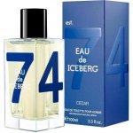 Iceberg Eau de Iceberg Cedar toaletní voda pánská 100 ml – Hledejceny.cz