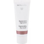 Dr. Hauschka Regenerating Day Cream 40 ml – Sleviste.cz