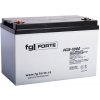 Olověná baterie fgFORTE FG12-200D 12V 200Ah