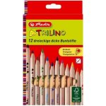 Herlitz Trilino 12 barev 23532 – Sleviste.cz
