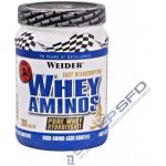 Weider Whey Aminos 300 tablet – Zboží Dáma