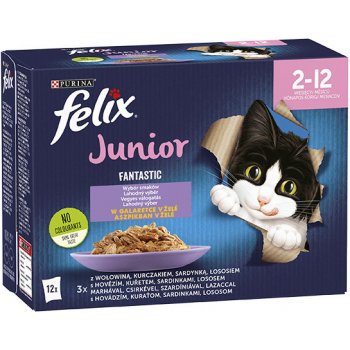 Felix Fantastic Junior s kuřetem v želé 12 x 85 g