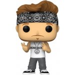 Funko Pop! 312 New Kids on the Block Donnie – Hledejceny.cz