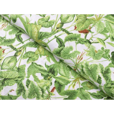 Bavlněná látka/plátno Sandra SA-297 Zelené pokojové rostliny na bílém - šířka 160 cm – Zboží Mobilmania