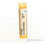 THUYA OCCIDENTALIS POR 15CH GRA 4G – Hledejceny.cz
