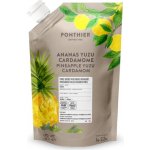 Ponthier Pyré ovocné ananas Yuzu Kardamon 1000 g – Zboží Dáma