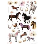 Samolepky Horses Topgal STICKERS – Zboží Dáma