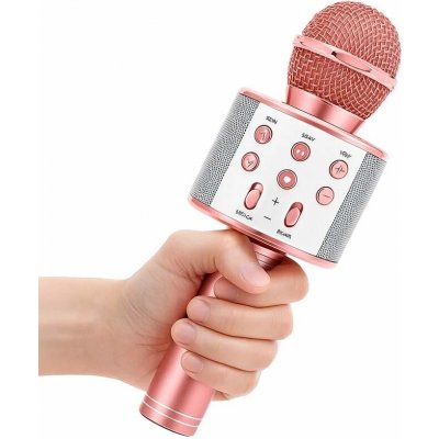 WSTER WS 858 Karaoke bluetooth mikrofon – Zbozi.Blesk.cz