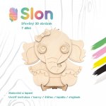 WoodBorn Slon Dřevěná 3D omalovánka – Hledejceny.cz