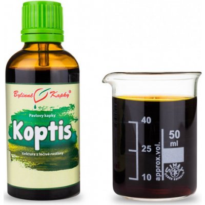Bylinné kapky Koptis TCM bylinné kapky tinktura z koptisu 50 ml – Hledejceny.cz