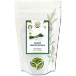 Salvia Paradise Mladý zelený ječmen BIO 1 kg – Hledejceny.cz