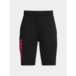 Under Armour UA Prototype 2.0 Logo Shorts – Zboží Dáma