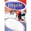 Diplom DL109 hokej