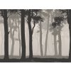 Tapety AG design FTNS-1266 vliesová fototapeta Mystic Forest rozměry 360 x 270 cm