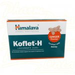 Himalaya Koflet H Ginger 12 pastilek – Hledejceny.cz