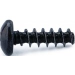 Pematex Šroub do plastu Plast-Fast 30° 2,5x10 PH ZČ Torx 8 – Hledejceny.cz