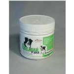 Orling Gelacan Fast 150 g – Hledejceny.cz