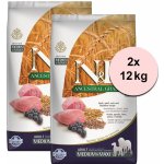 N&D Ancestral Grain Dog Adult Medium & Maxi Lamb & Blueberry 2 x 12 kg – Zboží Mobilmania
