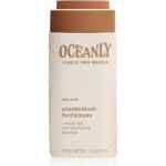 Attitude Oceanly Tuhý bronzer Golden 8,5 g – Zboží Dáma Attitude Oceanly Tuhý bronzer Golden 8,5 g – Zboží Dáma