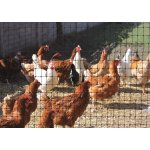 Síť proti dravcům TENAX - Plastová ochranná síť 16m x 3,8m – Hledejceny.cz