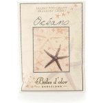 Boles d´olor Vonný sáček kapesní malý papírový 5,5 x 7,5 x 0,3 cm Oceano – Hledejceny.cz