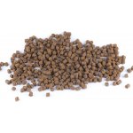 Krmiva Hulín Výcvikový Pamlsek Hmyzí protein peletky 8 mm 10 kg – Zboží Mobilmania
