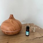 Venoc Esenciální olej Elemi 10 ml – Hledejceny.cz