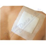 Elastpore náplast fixační 10 cm x 10 m 1 ks – Zboží Dáma